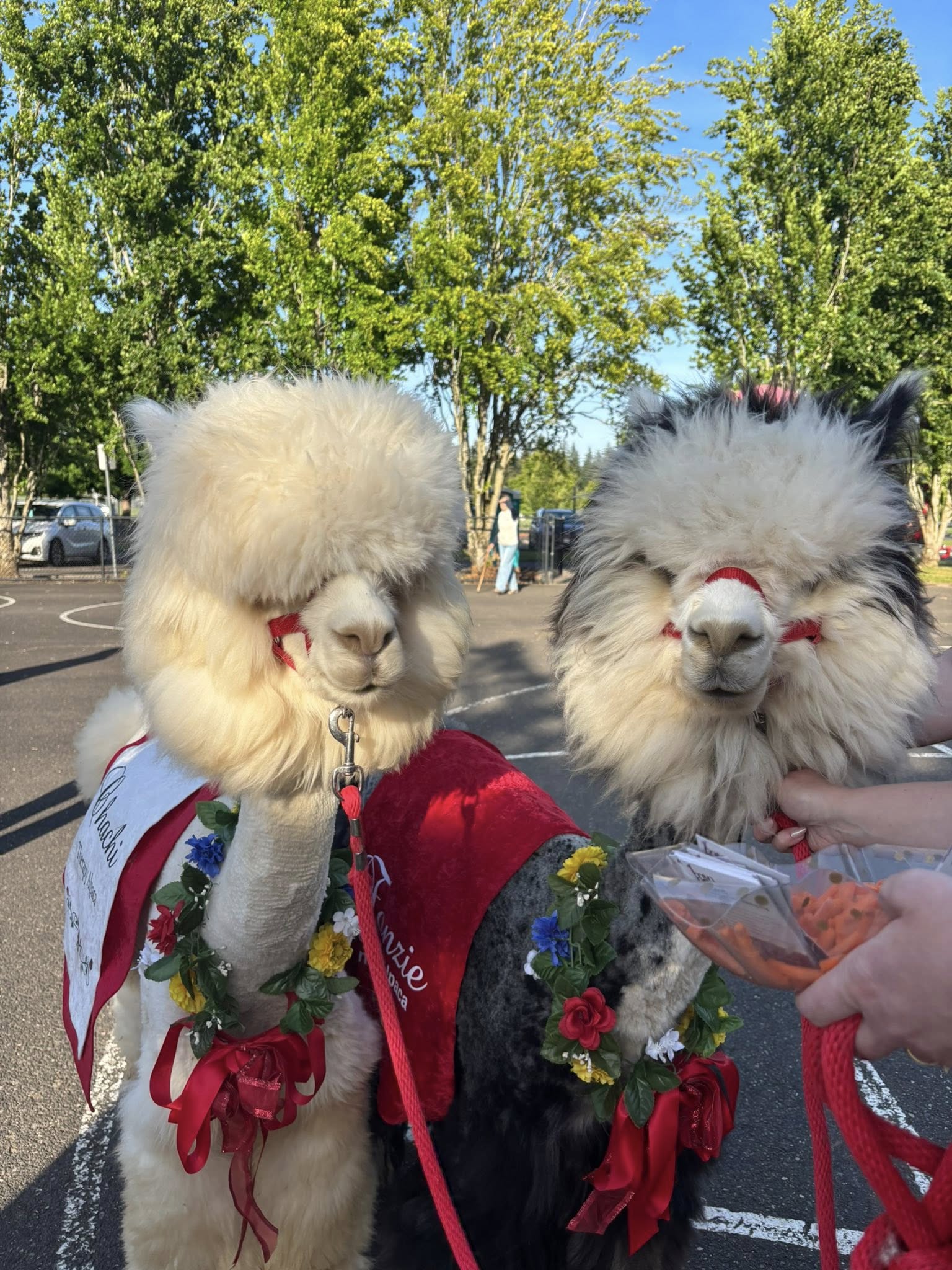 June Newsletter
